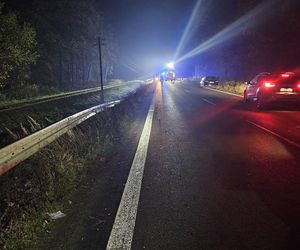 Jedna osoba w szpitalu po dachowaniu przez sarnę. Wypadek koło Garzyna