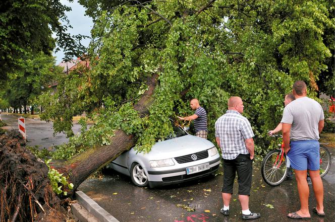 Śląskie: Ponad tysiąc osób bez prądu po nocnych burzach. A może być jeszcze gorzej - ostrzegają metorolodzy