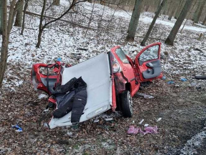 Śmiertelny wypadek w Parkowie. Dwie osoby nie żyją. 
