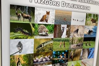 Zwierzęta i natura powiatu iławskiego zawitały do iławskiej Biblioteki Miejskiej
