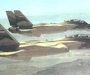 F-14 Tomcat