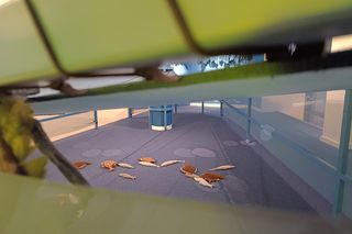 Wystawa multisensoryczna dla najmłodszych W Gdyni nie pada