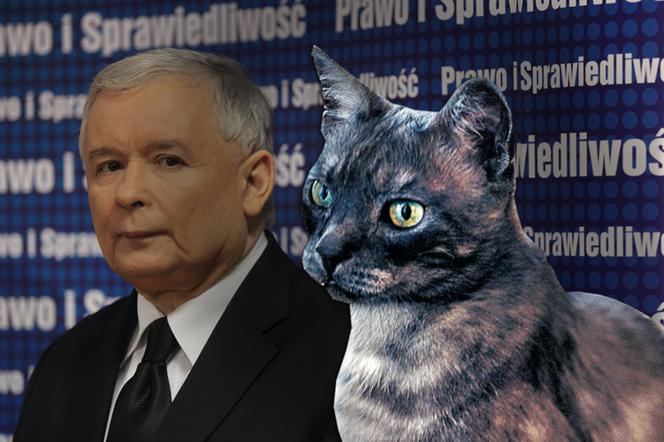 Jarosław Kaczyński z Alikiem