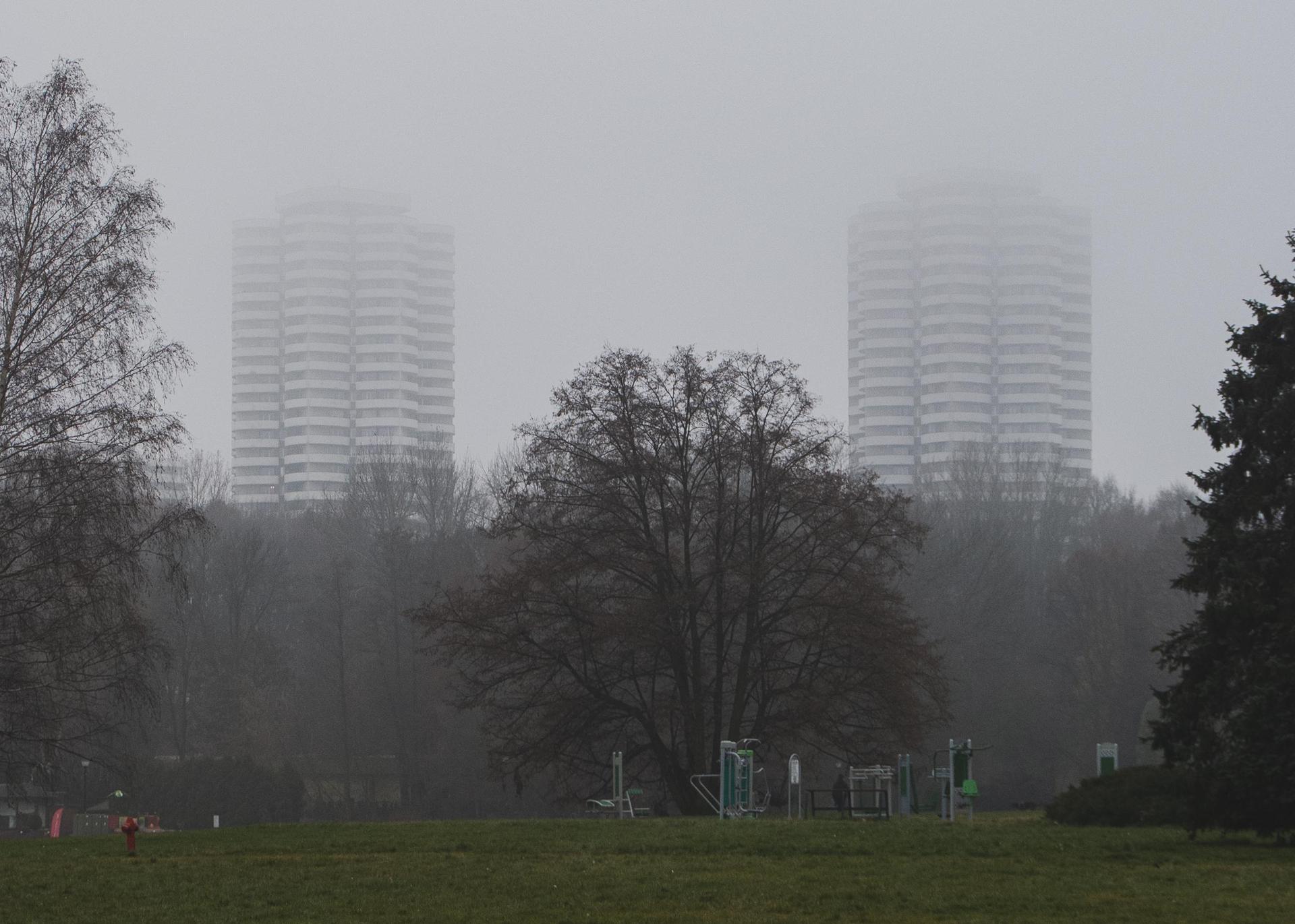 Kukurydze - zdjęcia katowickich bloków z Osiedla Tysiąclecia