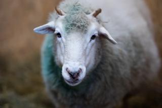 Zostałem mamą Henia