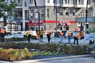 Przebudowa alei Wojska Polskiego w Szczecinie - czerwiec 2023