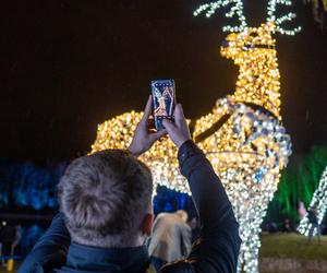 Zimowy Festiwal Figur Lodowych W Parku Miliona Świateł w Zabrzu 