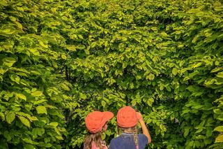 Zielone labirynty w Dobrzycy 