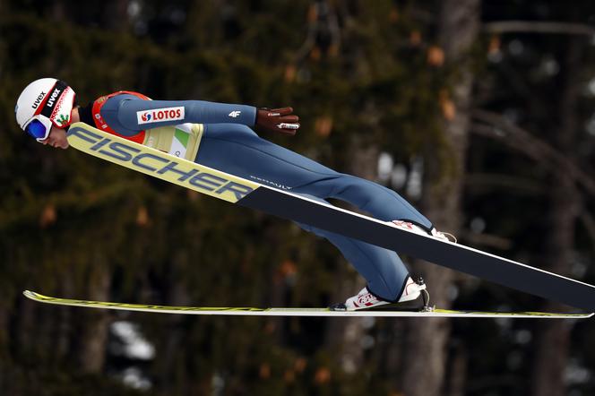 Kamil Stoch, skoki narciarskie