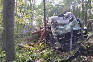 Ciężarówka wpadła do rowu