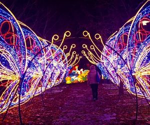 Garden of Lights w Szczecinie