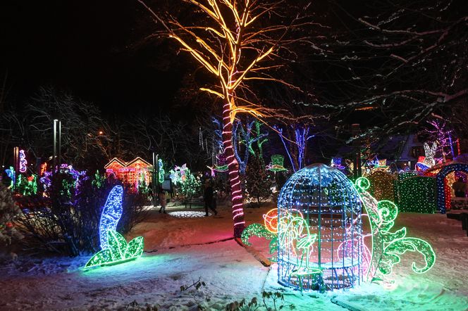 Park Miliona Świateł 2024 w Zakopanem