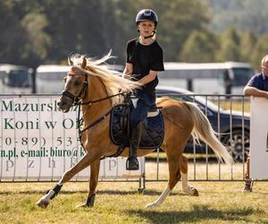 Jesienne Targi Rolnicze w Gryźlinach 2024. Wydarzenie przyciągnęło tłumy. Zobacz zdjęcia