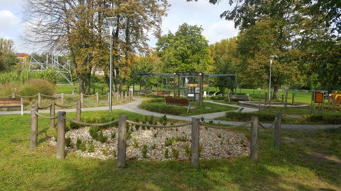 Pastwisko dla koni w Sosnowcu