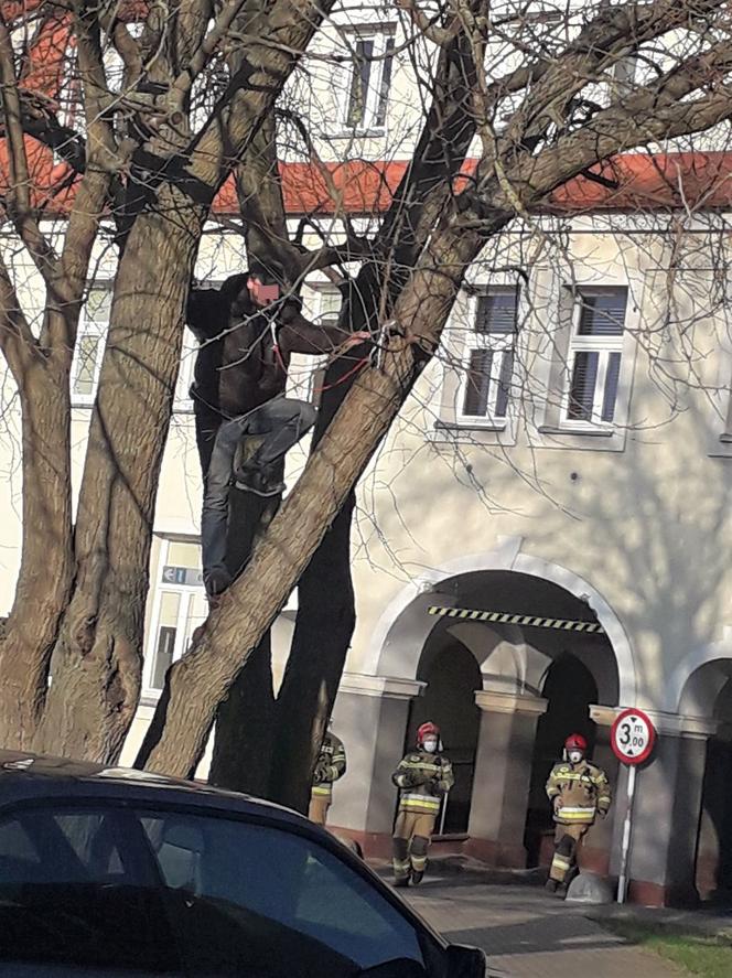 Wyszedł ze szpitala i chciał się zabić. Iławska policja uratowała 25-latka