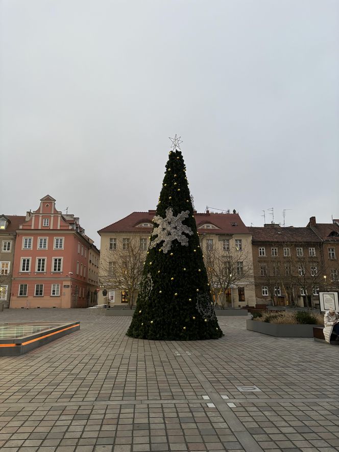 Świąteczne ozdoby w Poznaniu