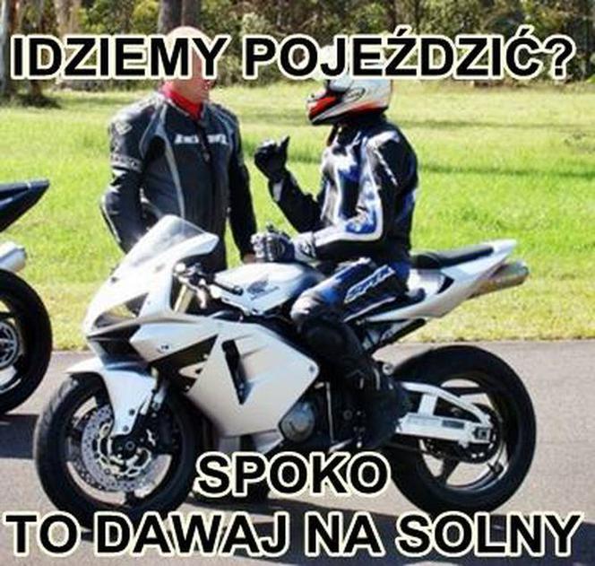 Typowy Wrocławianin
