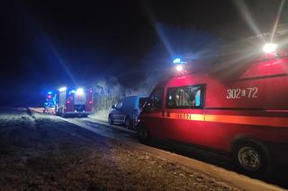 Borsuk wpadł do 9-metrowej studni. Ratowały go trzy zastępy strażaków