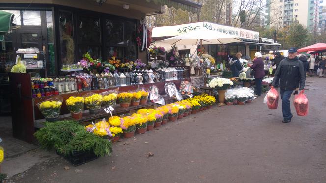 Takie kwiaty i znicze można kupić przy wrocławskich cmentarzach