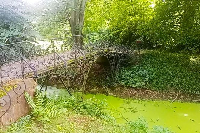 Ohlsdorfer Friedhof w Hamburgu