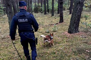 Policyjna akcja zakończyła się sukcesem