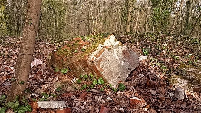 Wieża Baresela nad Jeziorem Szmaragdowym