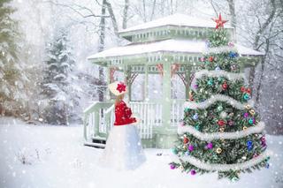 Toruń. Pogoda na święta Bożego Narodzenia! Ekspert dzieli się szczegółami