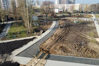 Psie pole na osiedlu Zawadzkiego stanie się pięknym parkiem