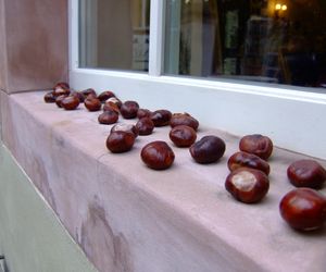 Kasztany