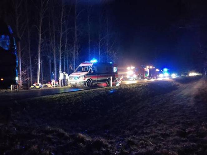  Wypadek na DK 53 w Olszynach. Samochód uderzył w drzewo. Trzy osoby ranne [FOTO]