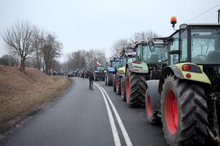 Traktory rozjadą stolicę