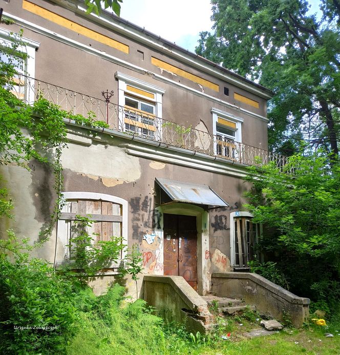 Pałac w Częstocicach