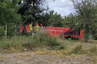 Awionetka spadła na ziemię w Wielkopolsce. Dwie osoby nie żyją