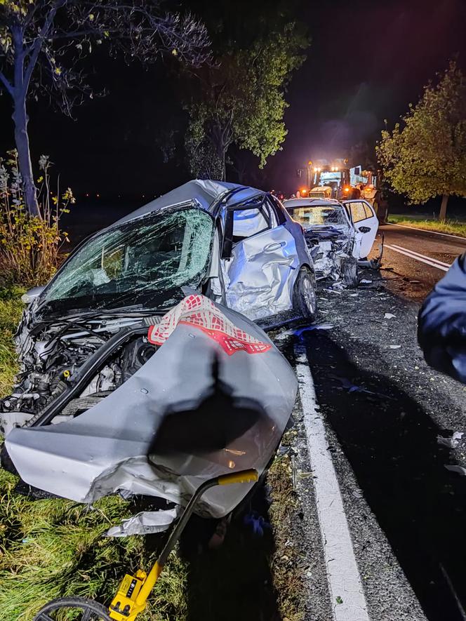 Tragiczny finał manewru w niedozwolonym miejscu