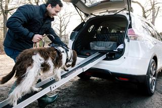 Nissan X-Trail stworzony dla psów