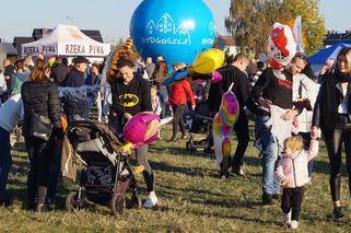 Piknik Wiejskiej Żywności w Fordonie [ZDJĘCIA]