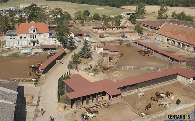 Fundacja Centaurus błaga o pomoc