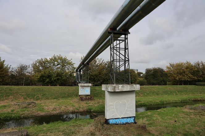 Jesienna odsłona terenów nad Bystrzycą w Lublinie. Tak się prezentuje w październiku