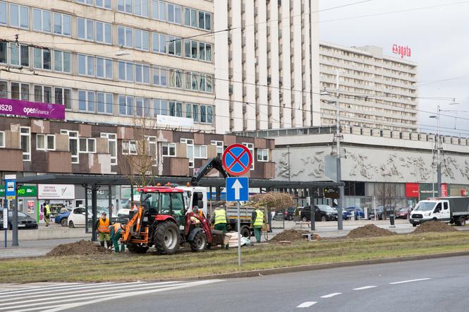 Zazielenianie terenów Katowice