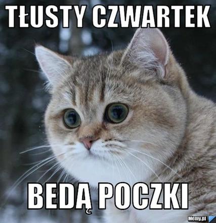 Memy na tłusty czwartek 2024 [GALERIA]