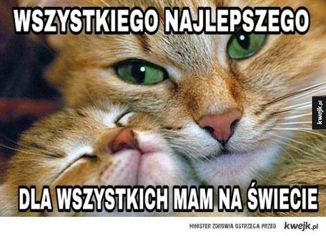 memy