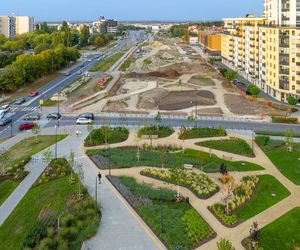 1000 drzew, 100 tysięcy krzewów i ogród zmysłów