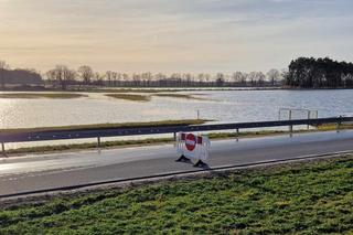 Alarm we Wrocławiu. Wysoki poziom Widawy, zamknięta droga i wielkie rozlewisko 