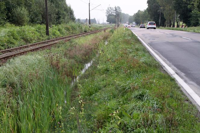 EGZEKUTOR STRZELIŁ MIĘDZY OCZY I W SERCE.