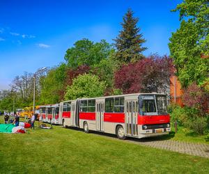 Nocna przejażdżka zabytkowymi autobusami. Klub Sympatyków Transportu Miejskiego zaprasza