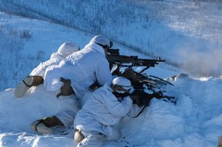 Armia Stanów Zjednoczonych na Alasce
