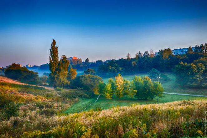 Mgliste poranki w Lublinie