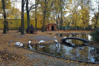 Park 1000-lecia w Lesznie na chwilę przed zachodem słońca