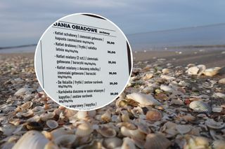Takie są ceny nad morzem. TikTokerzy pokazali ile zapłacimy za gofra czy obiad