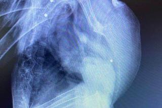 Strzelali do Rogera jak do kaczki [GALERIA]